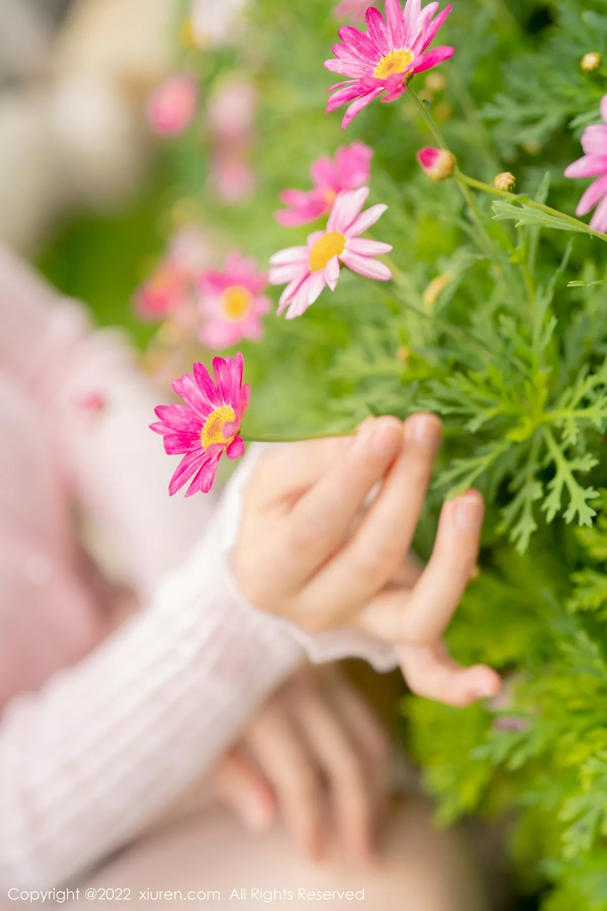 图片[10]-[XiuRen秀人网]第5295期朱可儿写真-秀人集