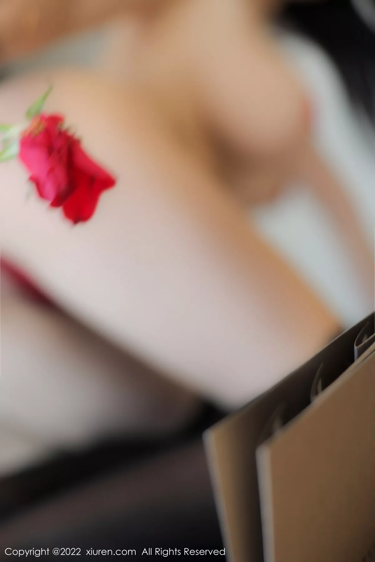 图片[70]-[XiuRen秀人网]第5455期美七写真-秀人集