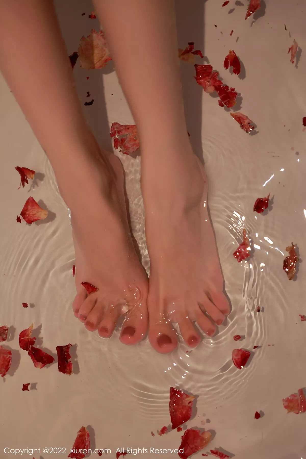 图片[62]-韩心雨-秀人集