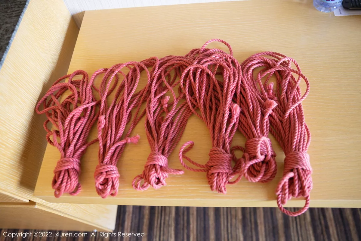 图片[14]-[XiuRen秀人网]第5910期就是阿朱啊写真-秀人集