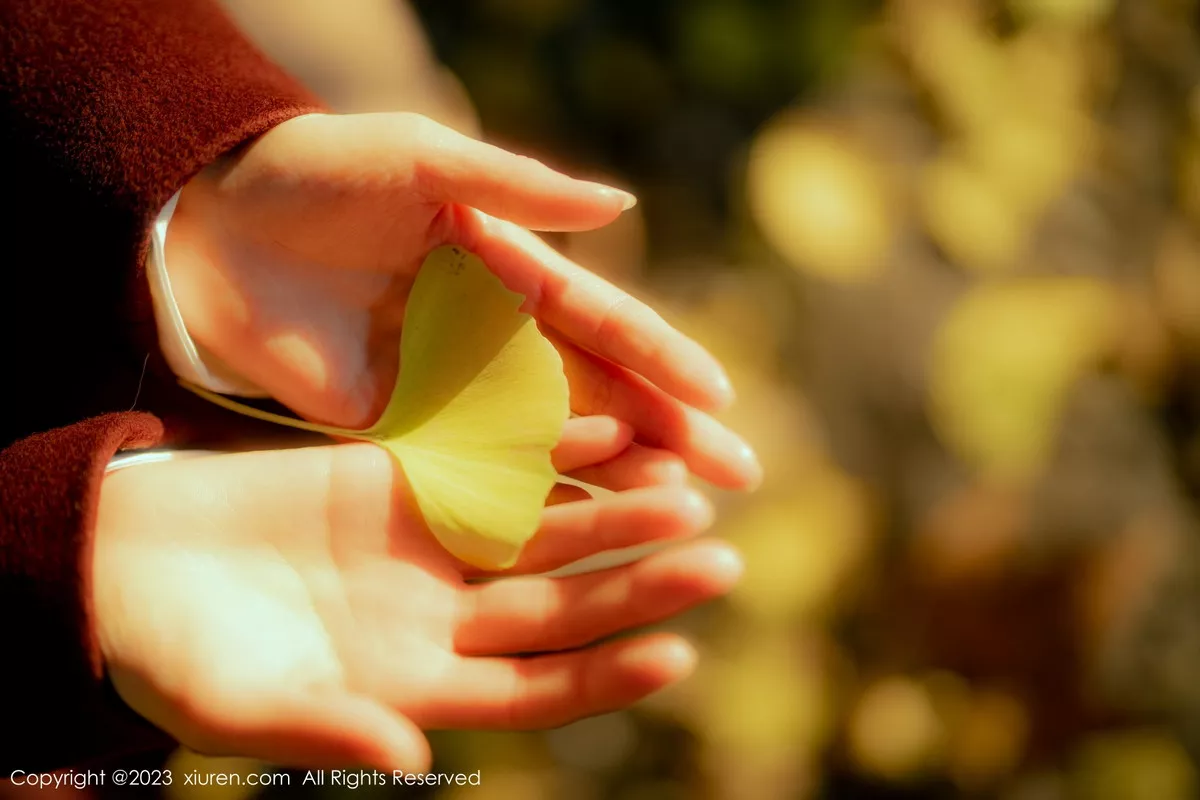 图片[28]-[XiuRen秀人网]第6137期婠婠么写真-秀人集