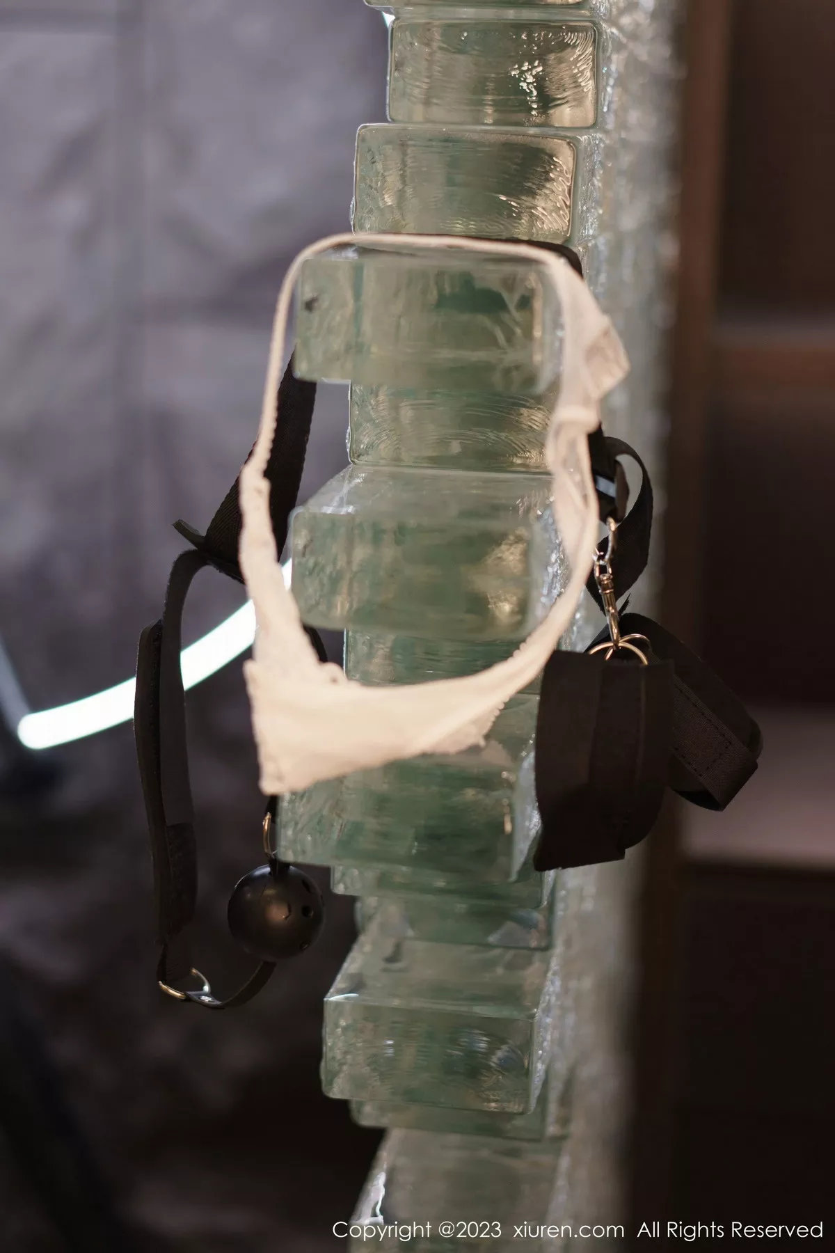 图片[66]-[XiuRen秀人网]第6206期icy猪写真-秀人集