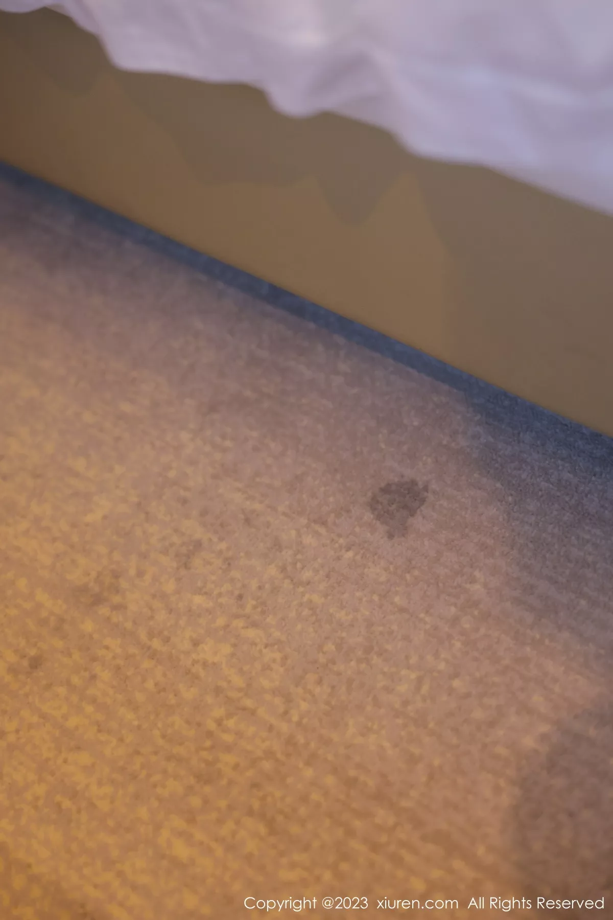 图片[90]-[XiuRen秀人网]第6329期谢小蒽写真-秀人集