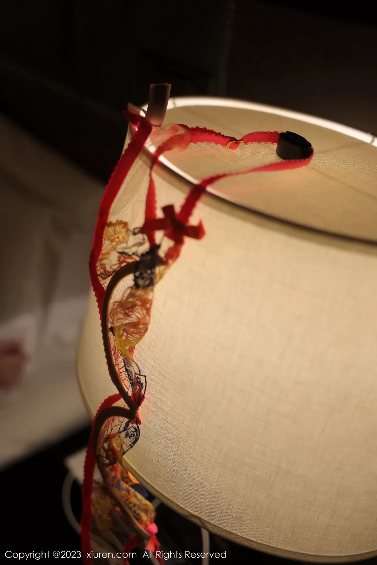 图片[57]-林珊珊-秀人集