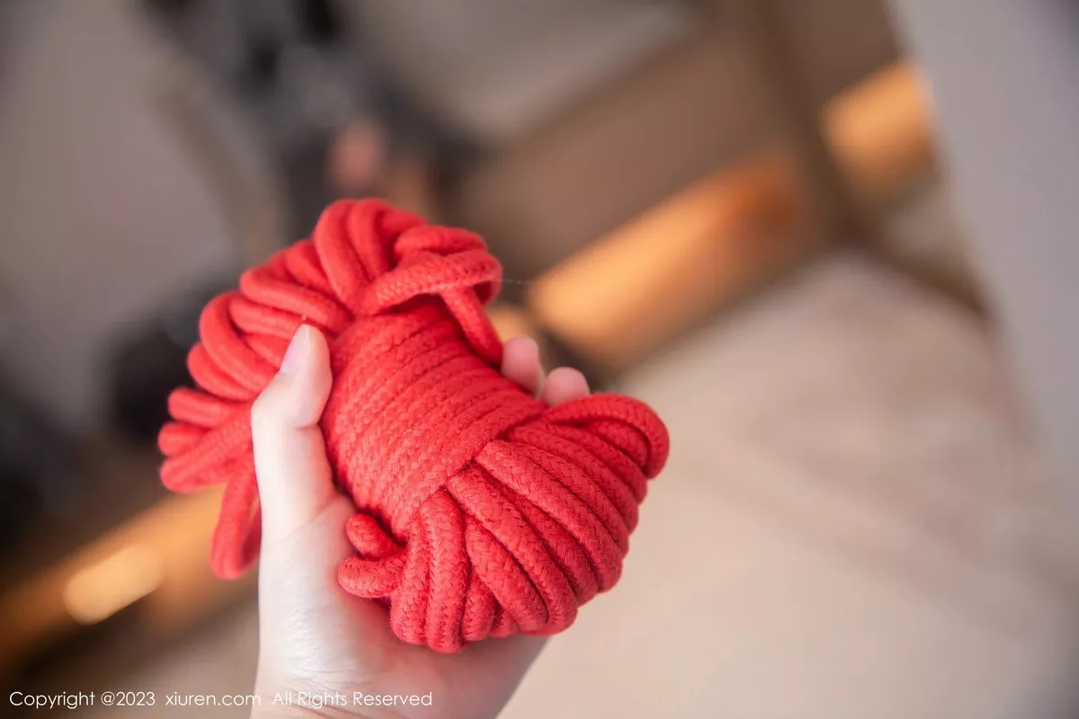 图片[5]-[XiuRen秀人网]第6495期谭小灵写真-秀人集