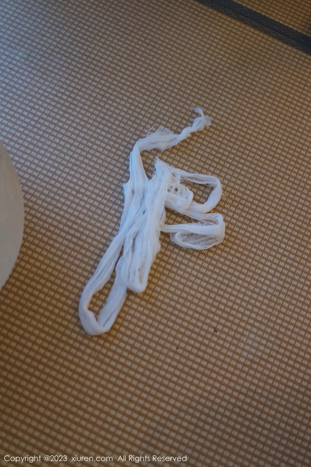 图片[70]-[XiuRen秀人网]第6575期阿姣写真-秀人集