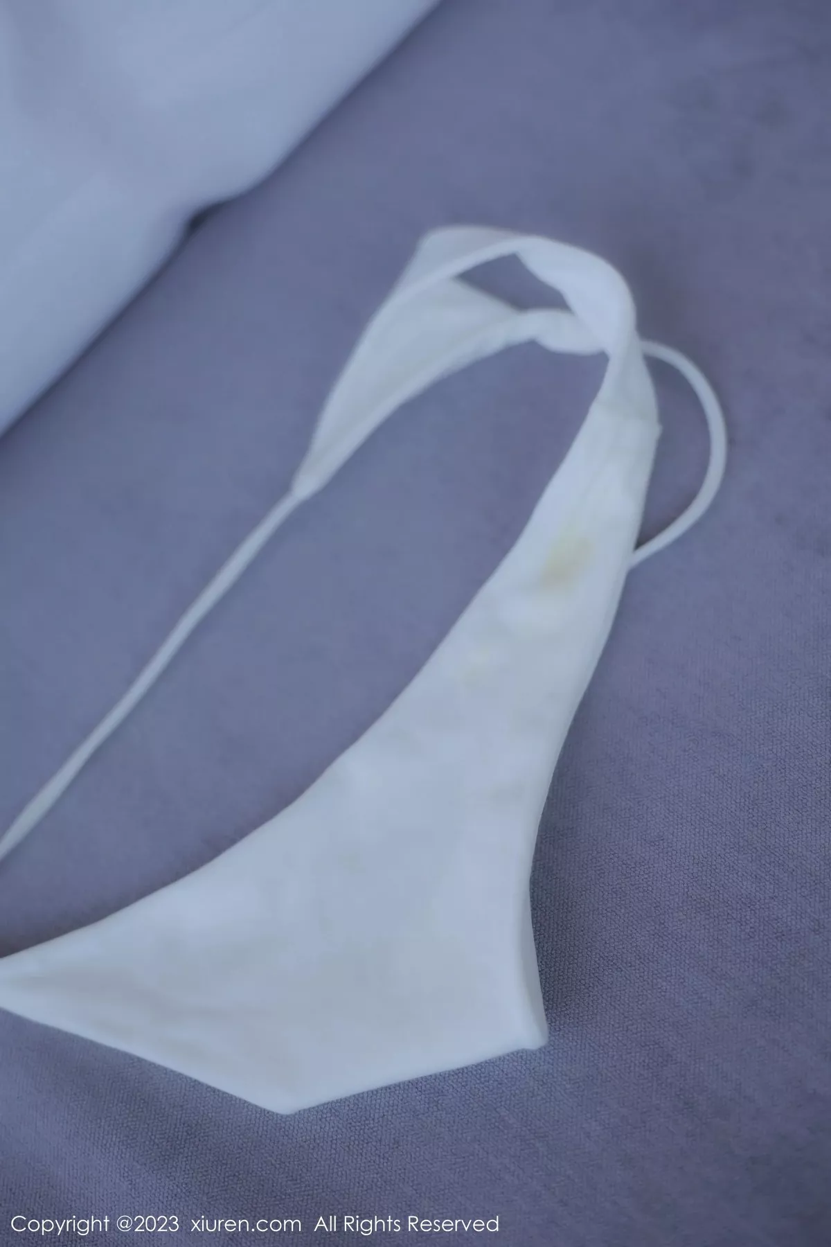 图片[85]-[XiuRen秀人网]第6588期Lingyu69写真-秀人集