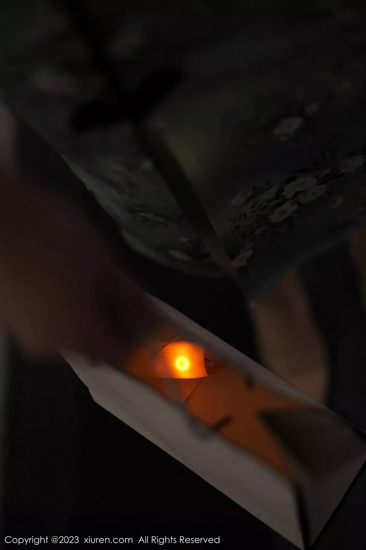 图片[3]-[XiuRen秀人网]第6464期薇薇写真-秀人集