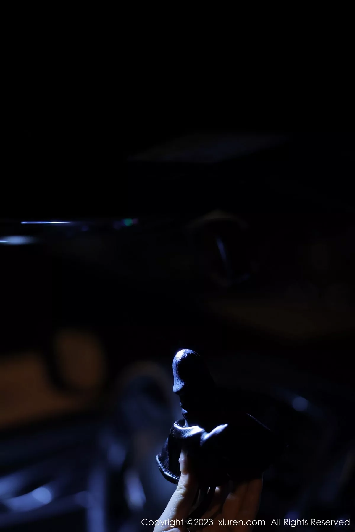 图片[74]-[XiuRen秀人网]第6650期江真真写真-秀人集