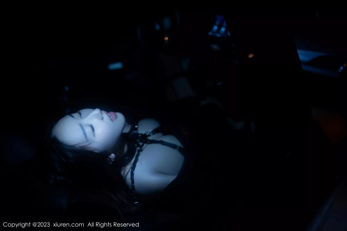 图片[73]-[XiuRen秀人网]第6650期江真真写真-秀人集