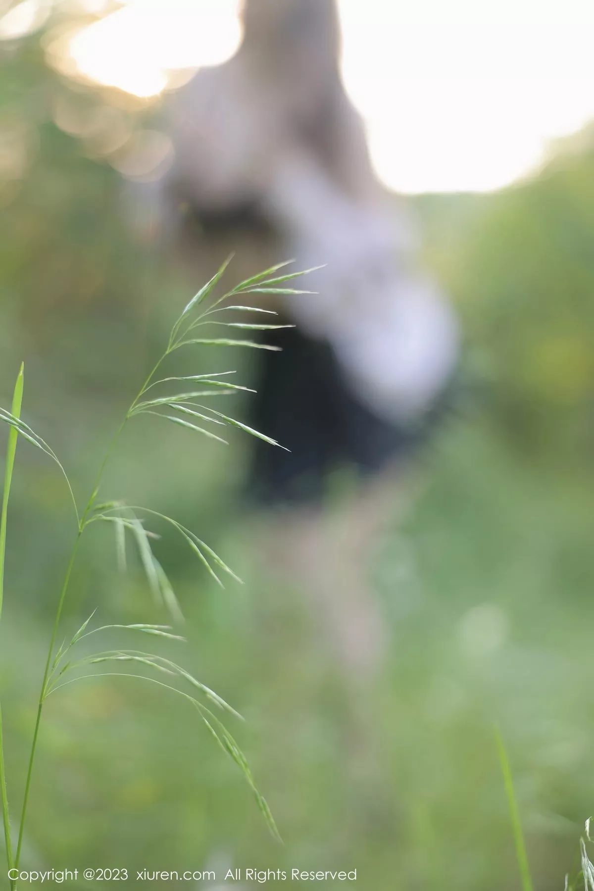 图片[31]-[XiuRen秀人网]第6721期江真真写真-秀人集