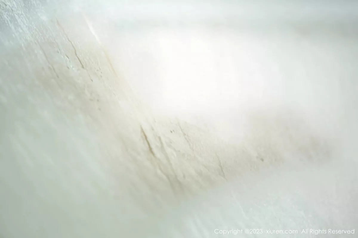 图片[71]-[XiuRen秀人网]第6610期周妍希写真-秀人集