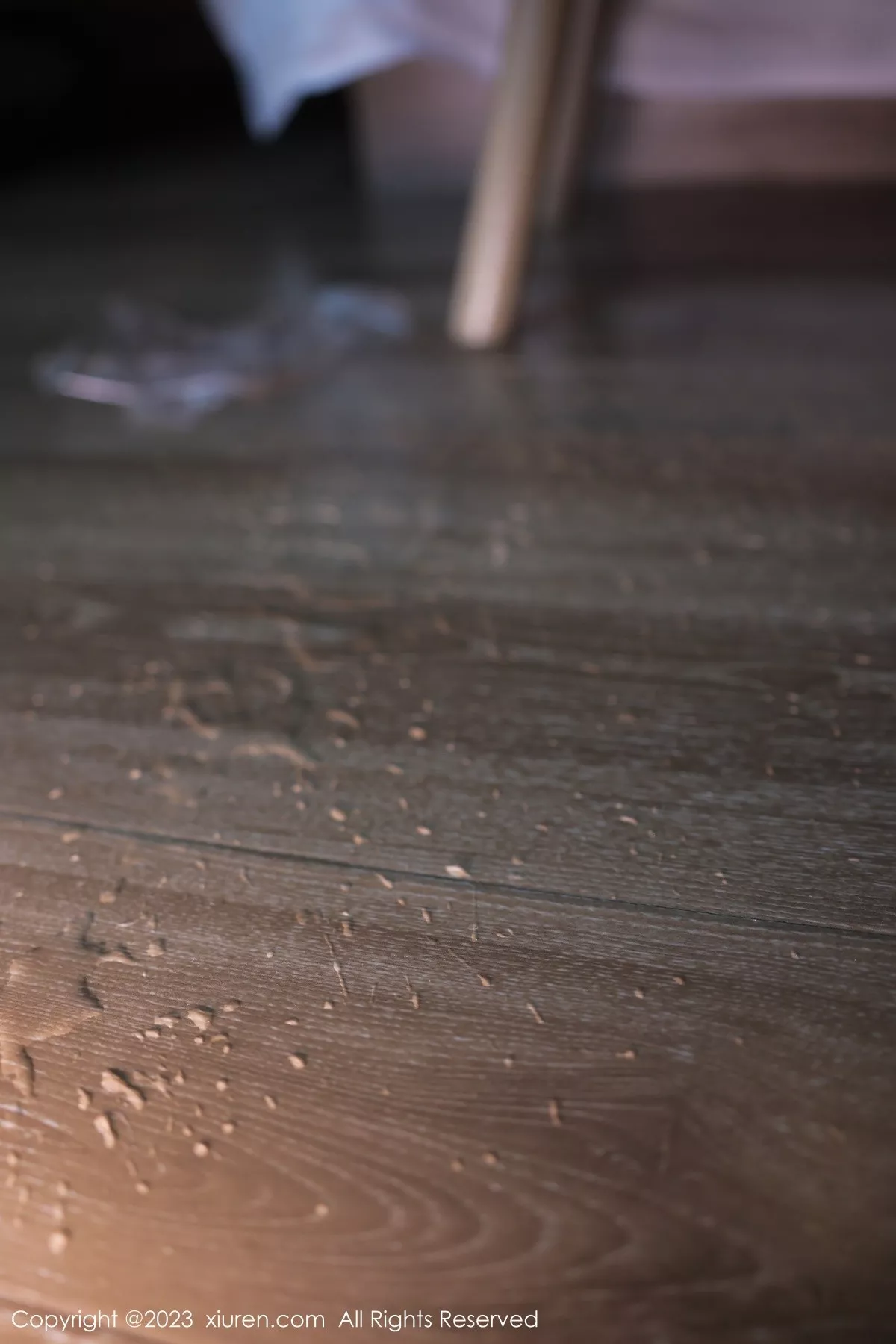 图片[88]-[XiuRen秀人网]第7010期幼幼写真-秀人集