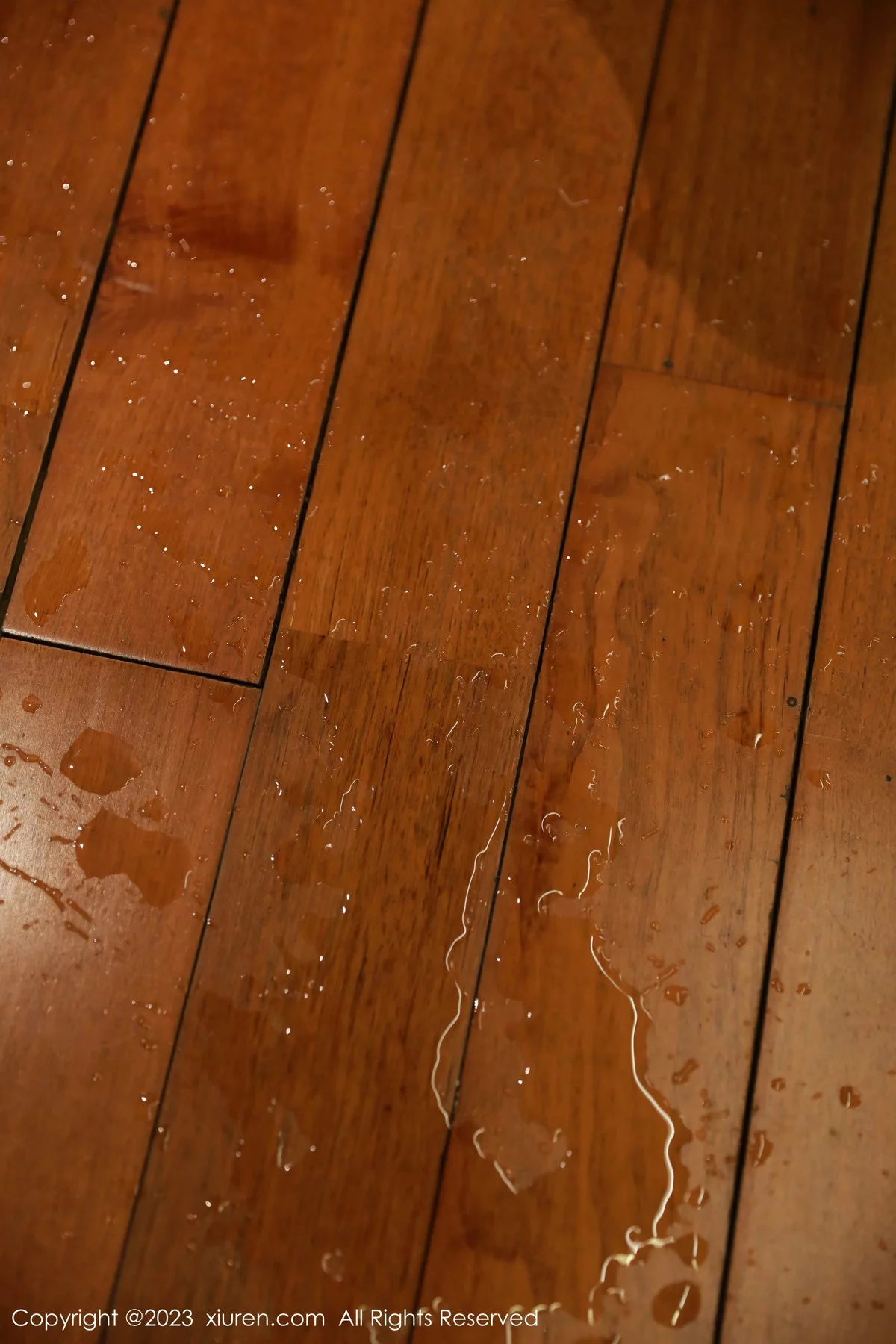 图片[68]-[XiuRen秀人网]第7821期小薯条写真-秀人集