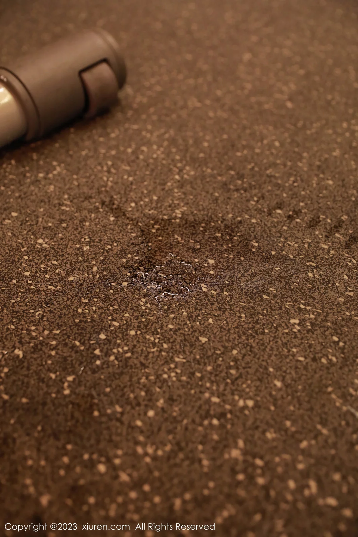 图片[55]-[XiuRen秀人网]第7821期小薯条写真-秀人集