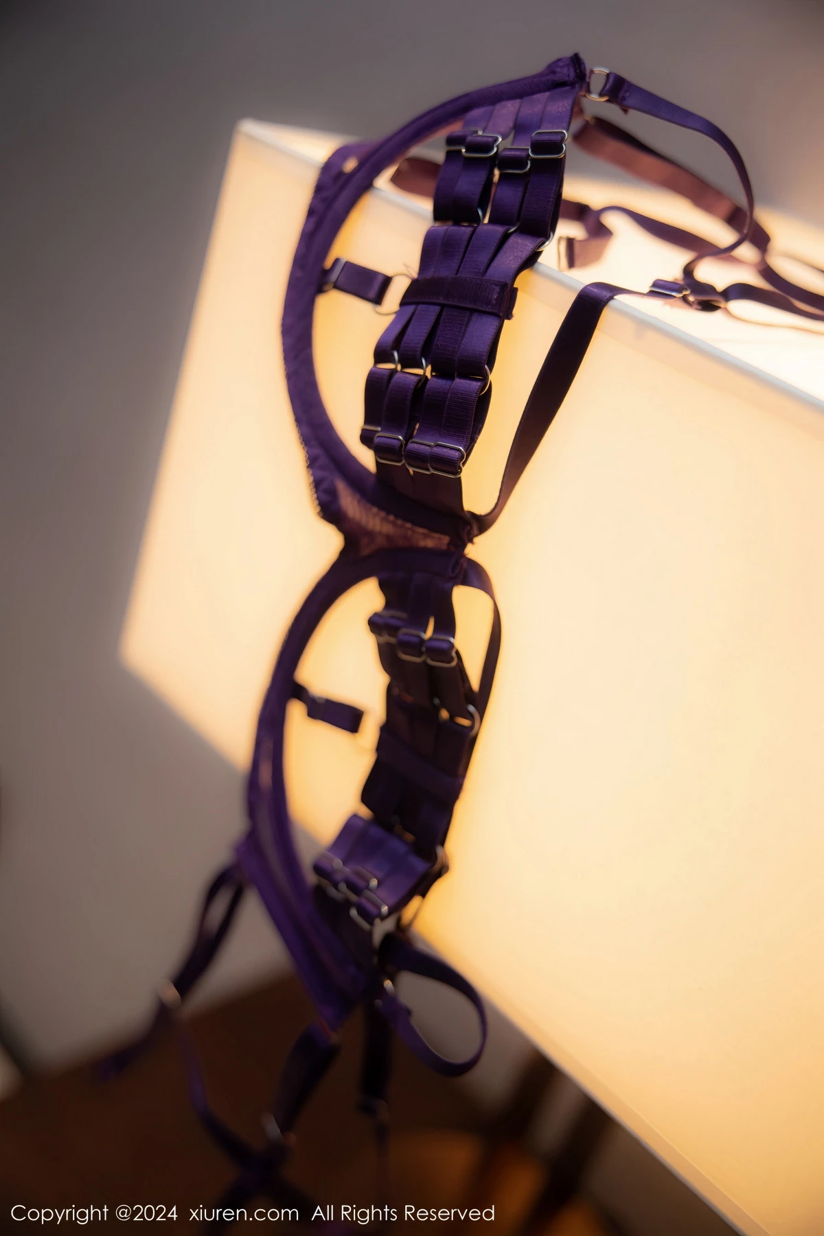 图片[72]-李若汐-秀人集