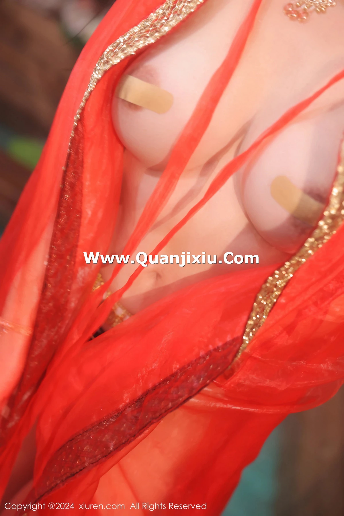 图片[14]-[XiuRen秀人网]第8146期小薯条写真-秀人集