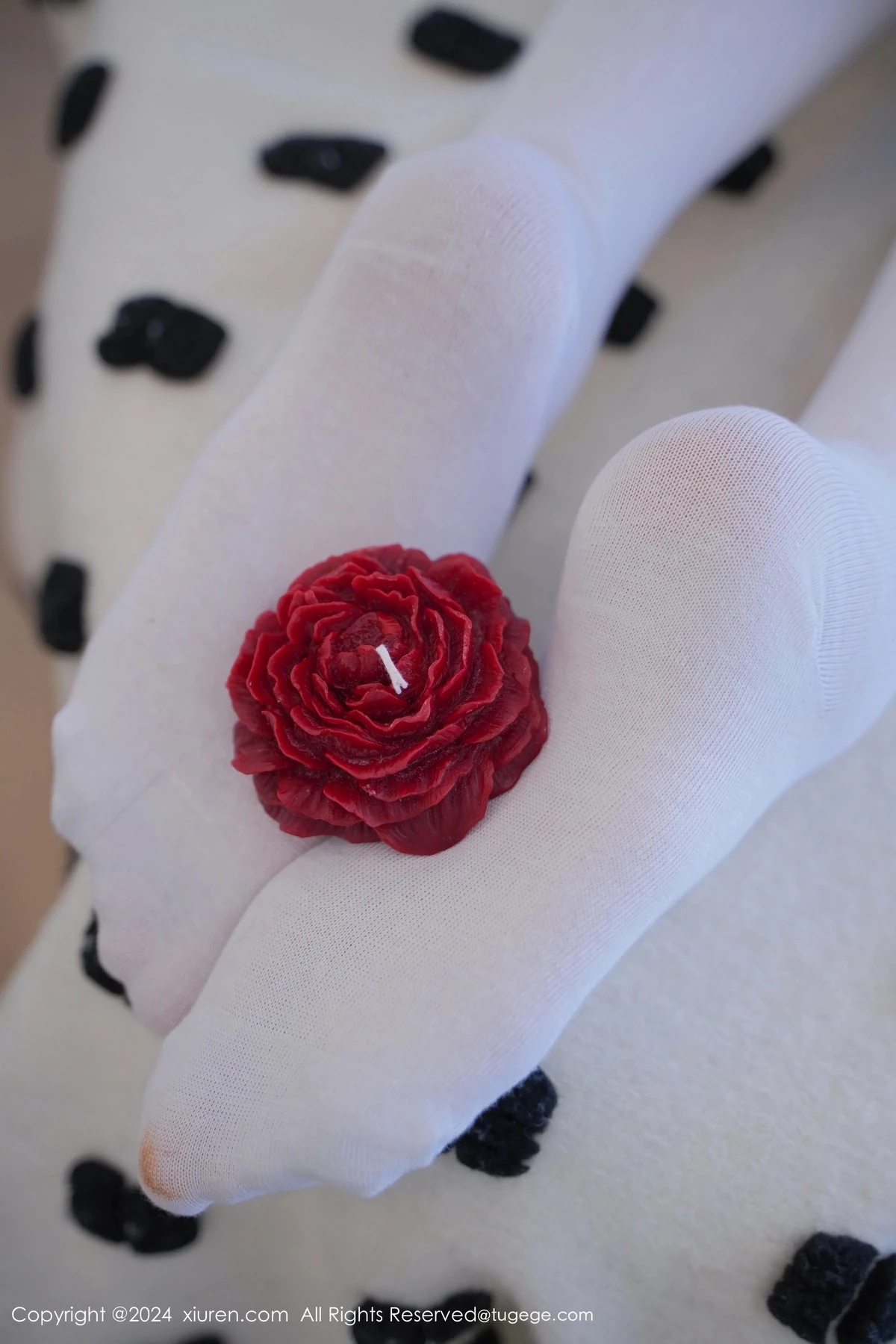 图片[14]-[XiuRen秀人网]第8268期晚苏写真-秀人集