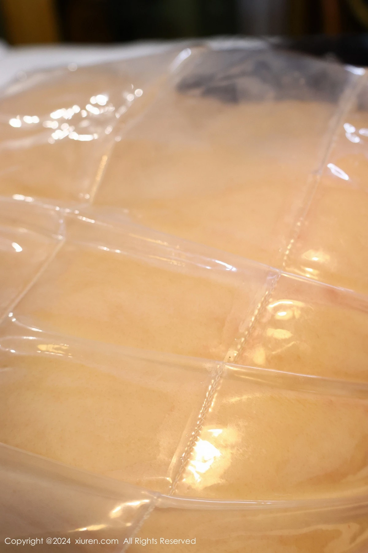 图片[74]-[XiuRen秀人网]第8517期小薯条写真-秀人集