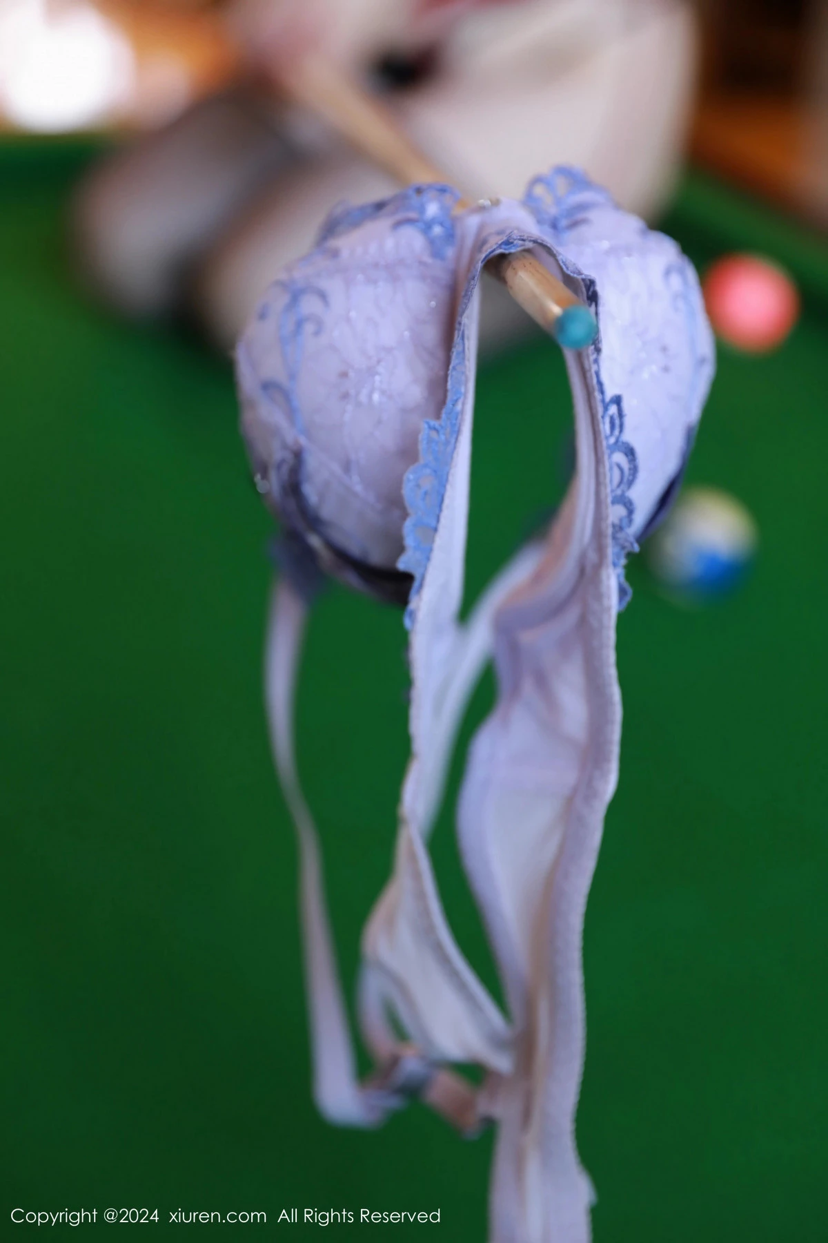 图片[69]-[XiuRen秀人网]第8946期白茹雪写真-秀人集