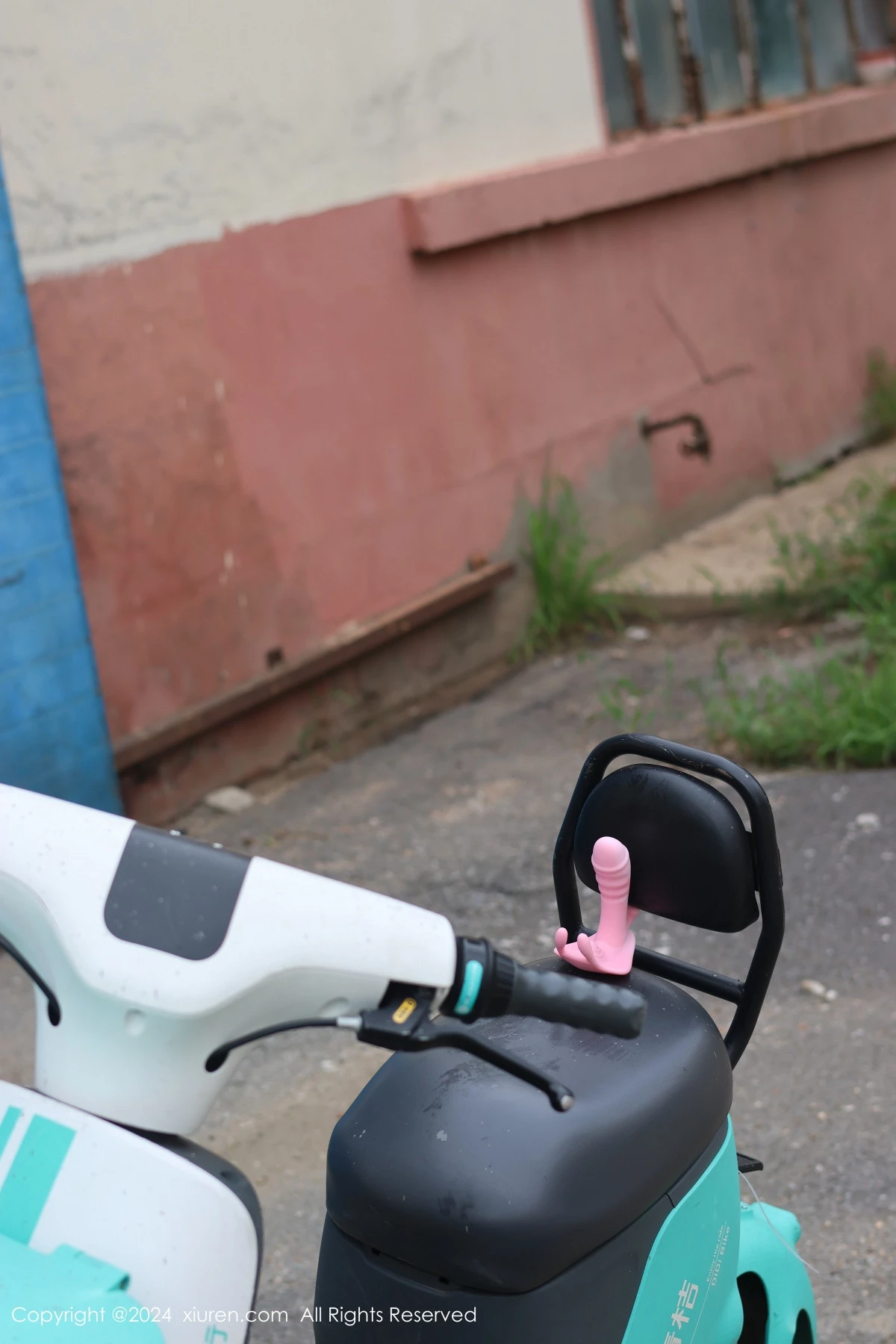 [XiuRen秀人网]第9024期小薯条写真-秀人集