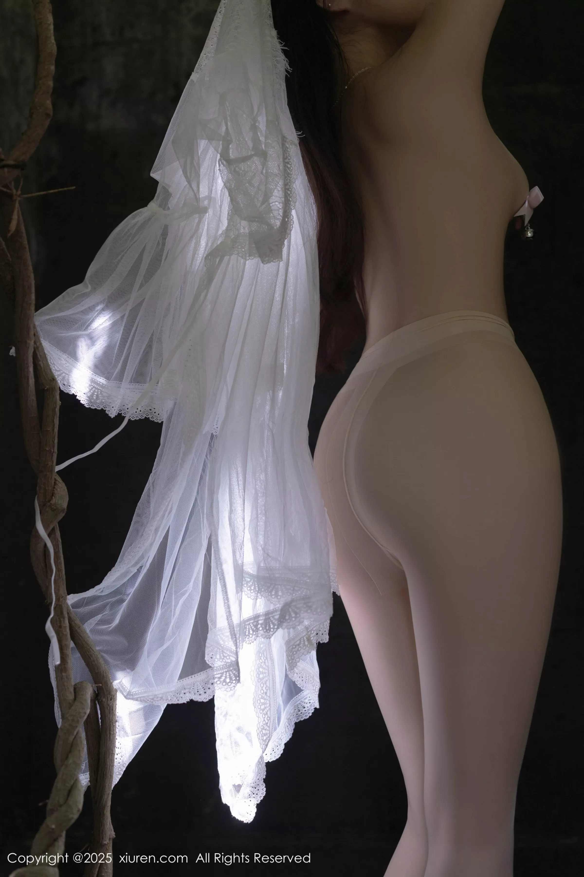 鱼子酱合集 鱼子酱写真