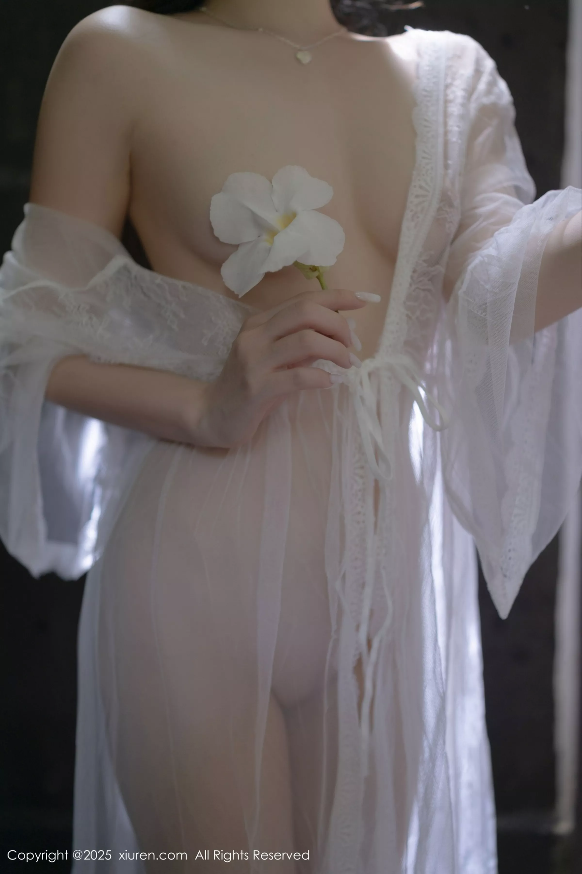 鱼子酱合集 鱼子酱写真