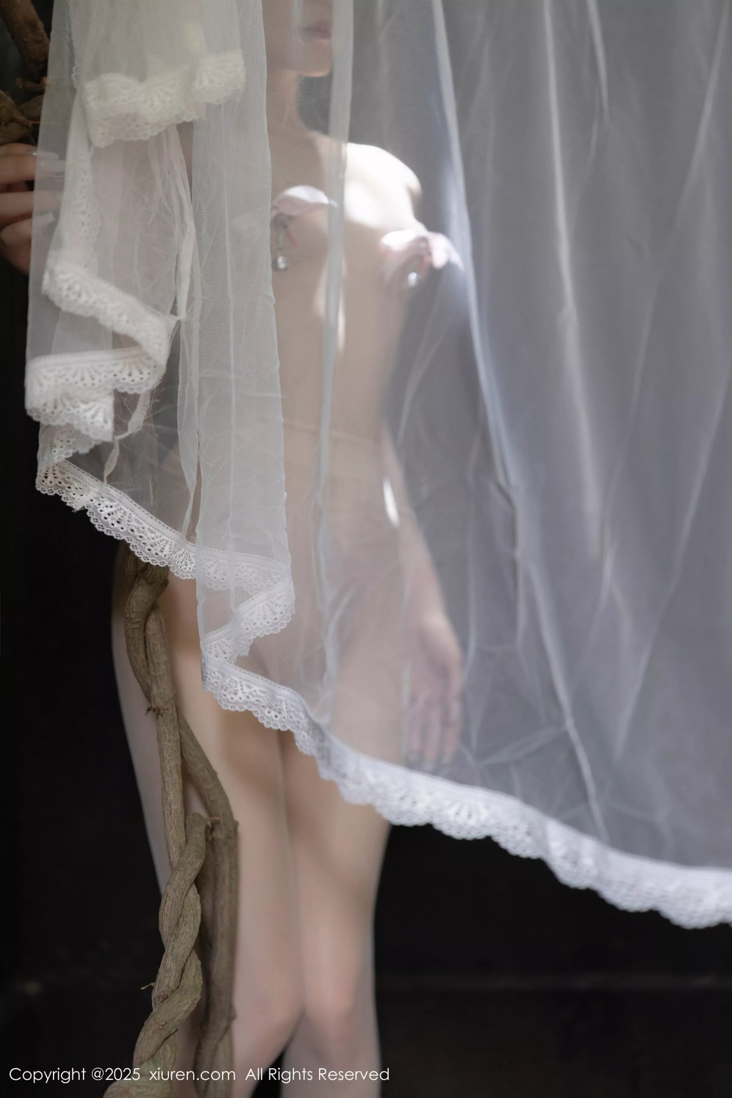 鱼子酱合集 鱼子酱写真