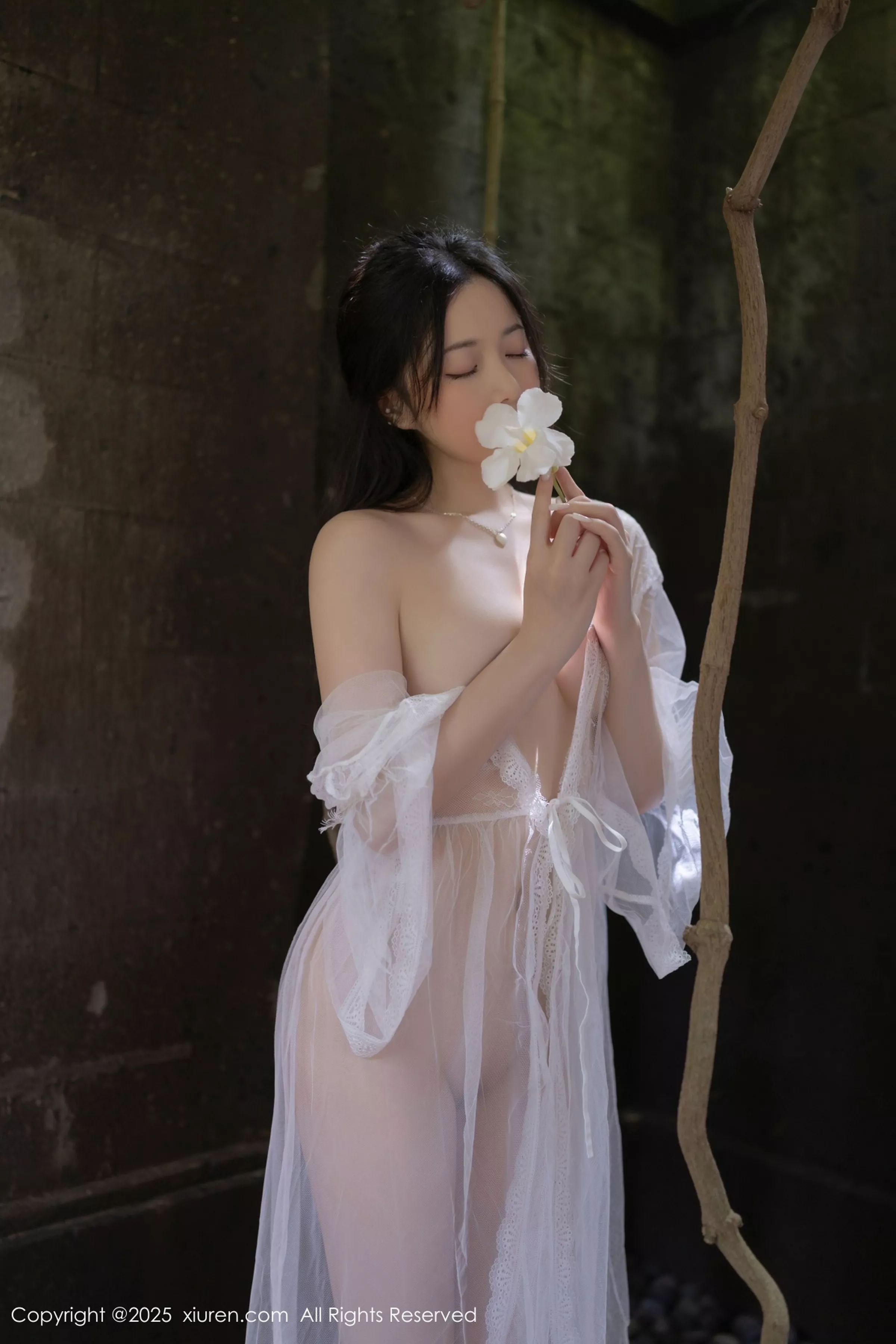 鱼子酱合集 鱼子酱写真