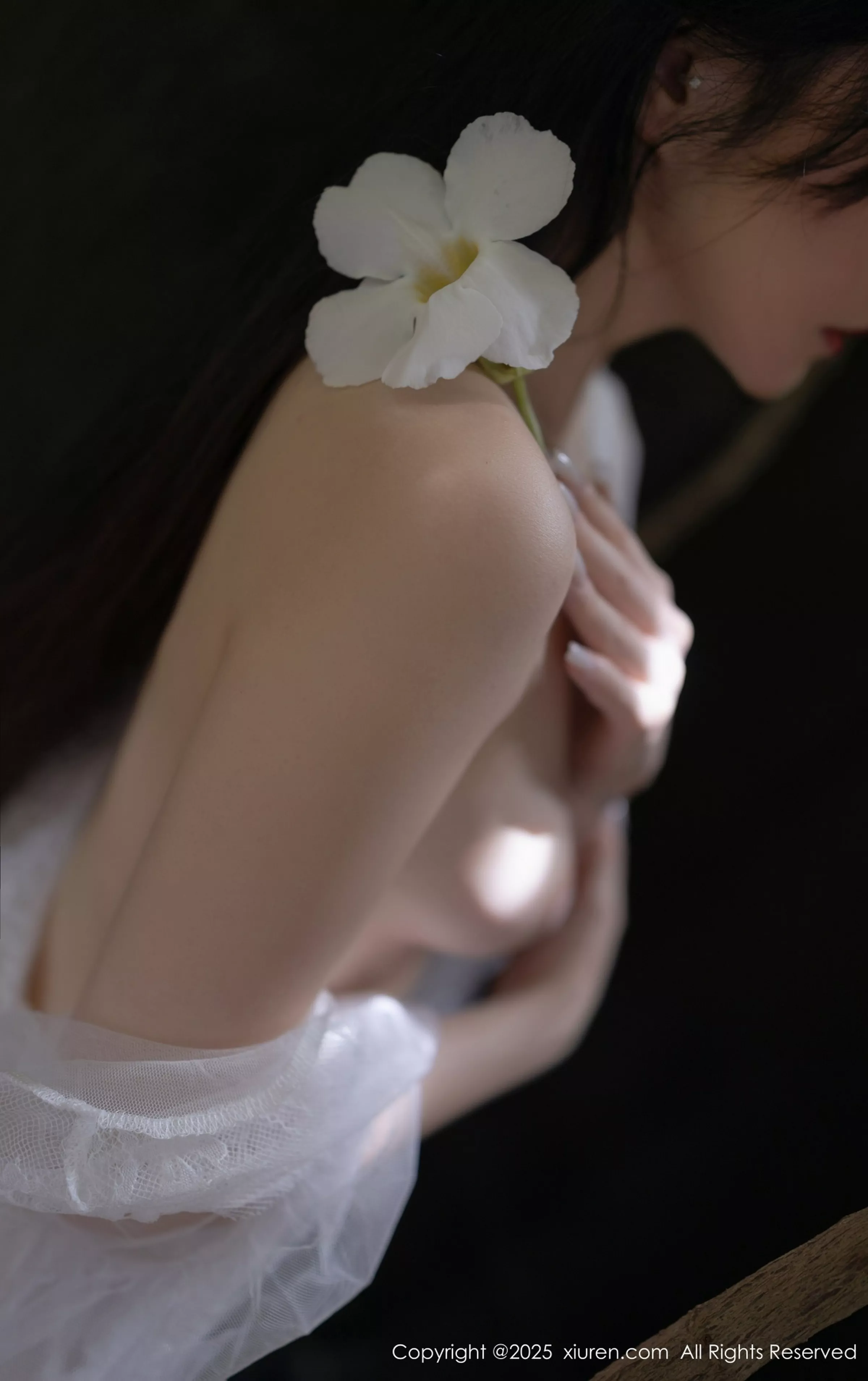 鱼子酱合集 鱼子酱写真