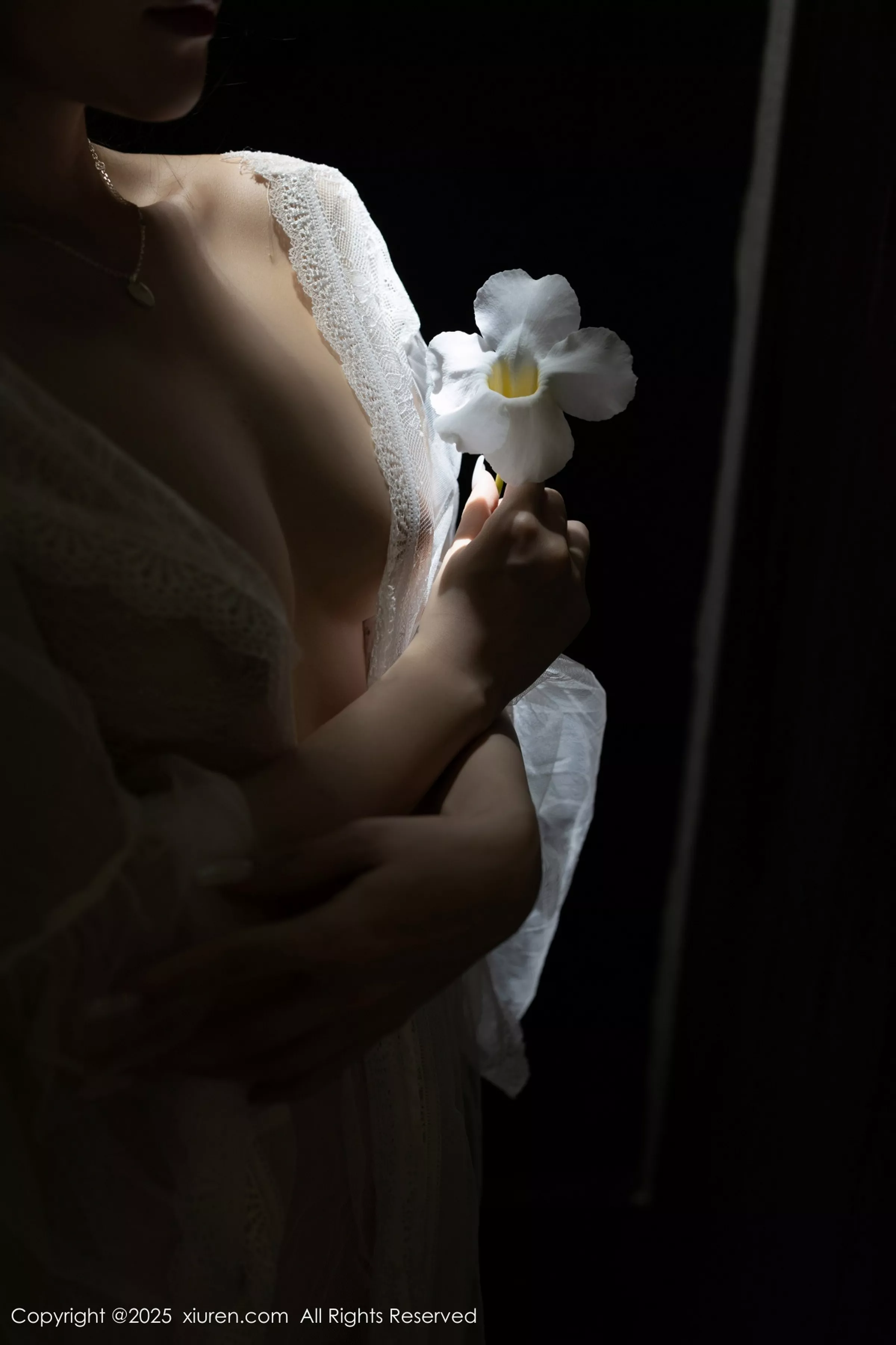 鱼子酱合集 鱼子酱写真