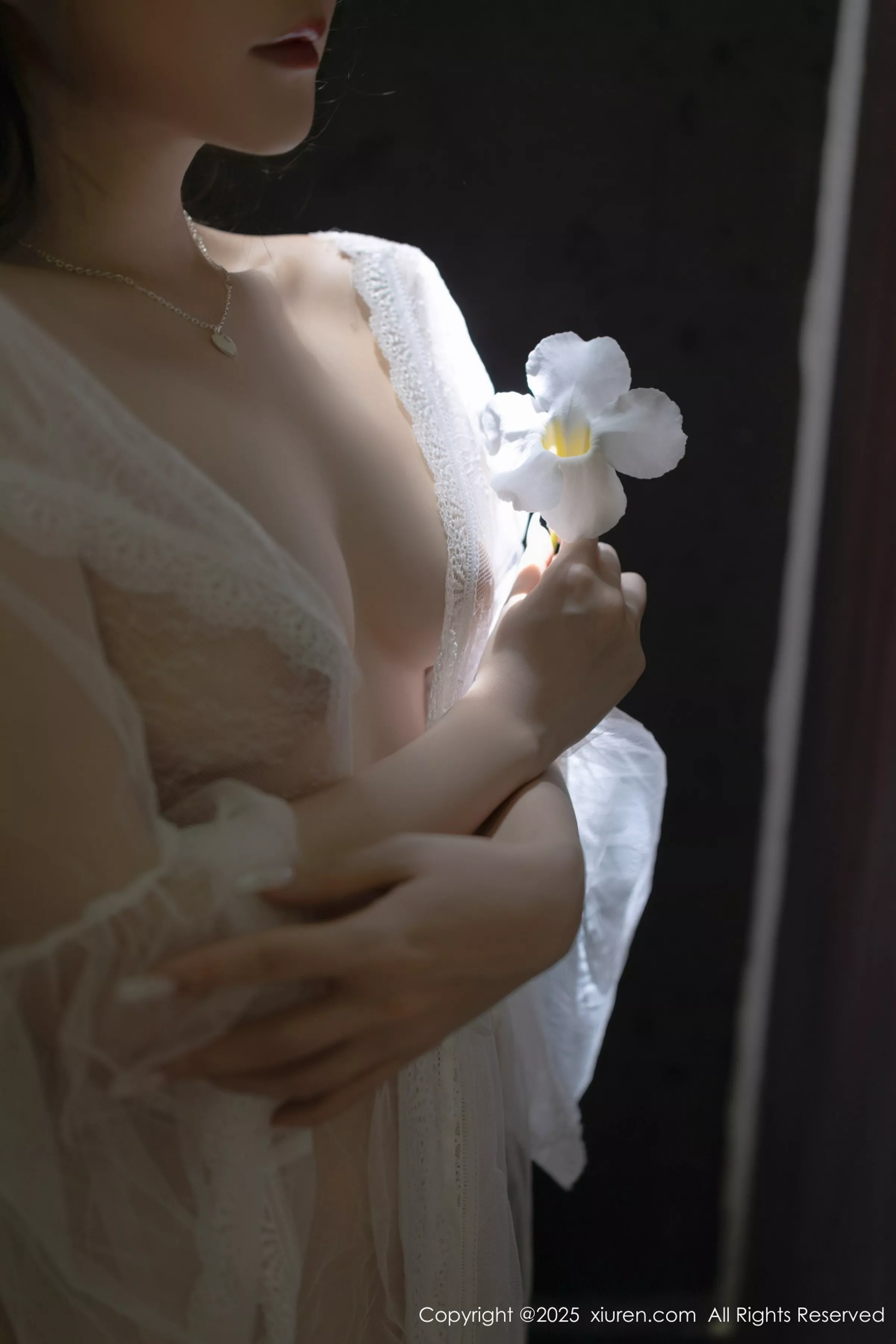 鱼子酱合集 鱼子酱写真