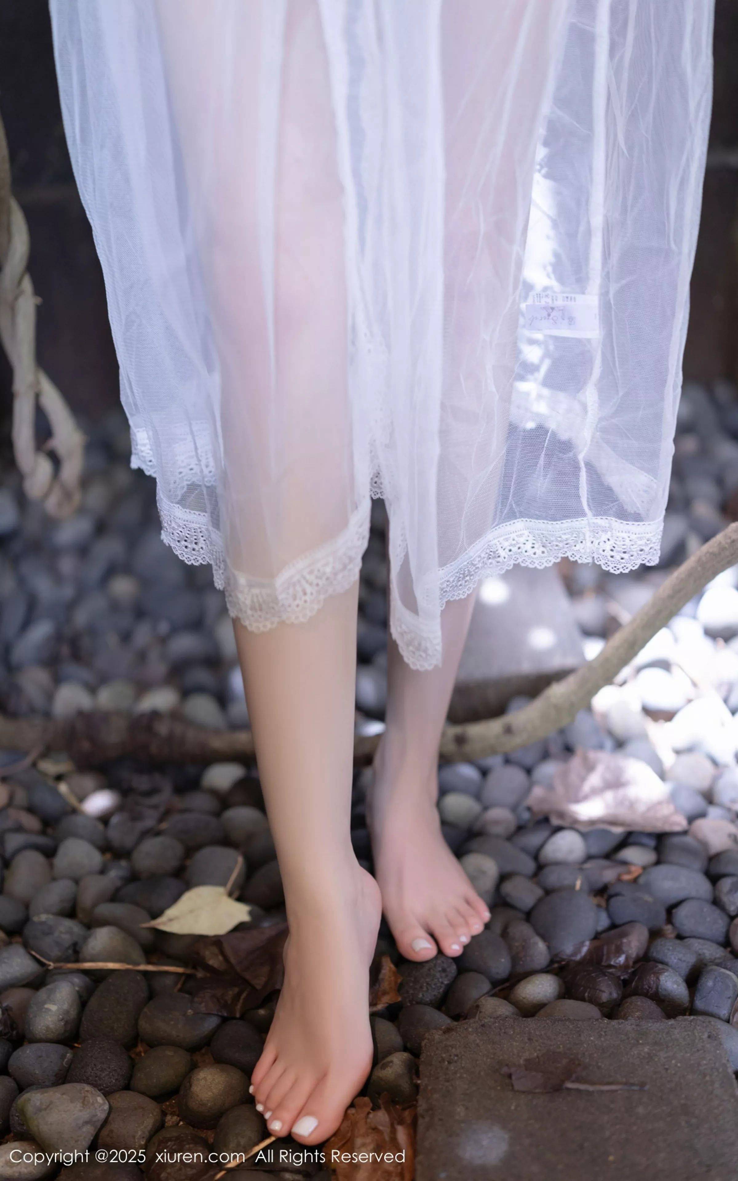 鱼子酱合集 鱼子酱写真