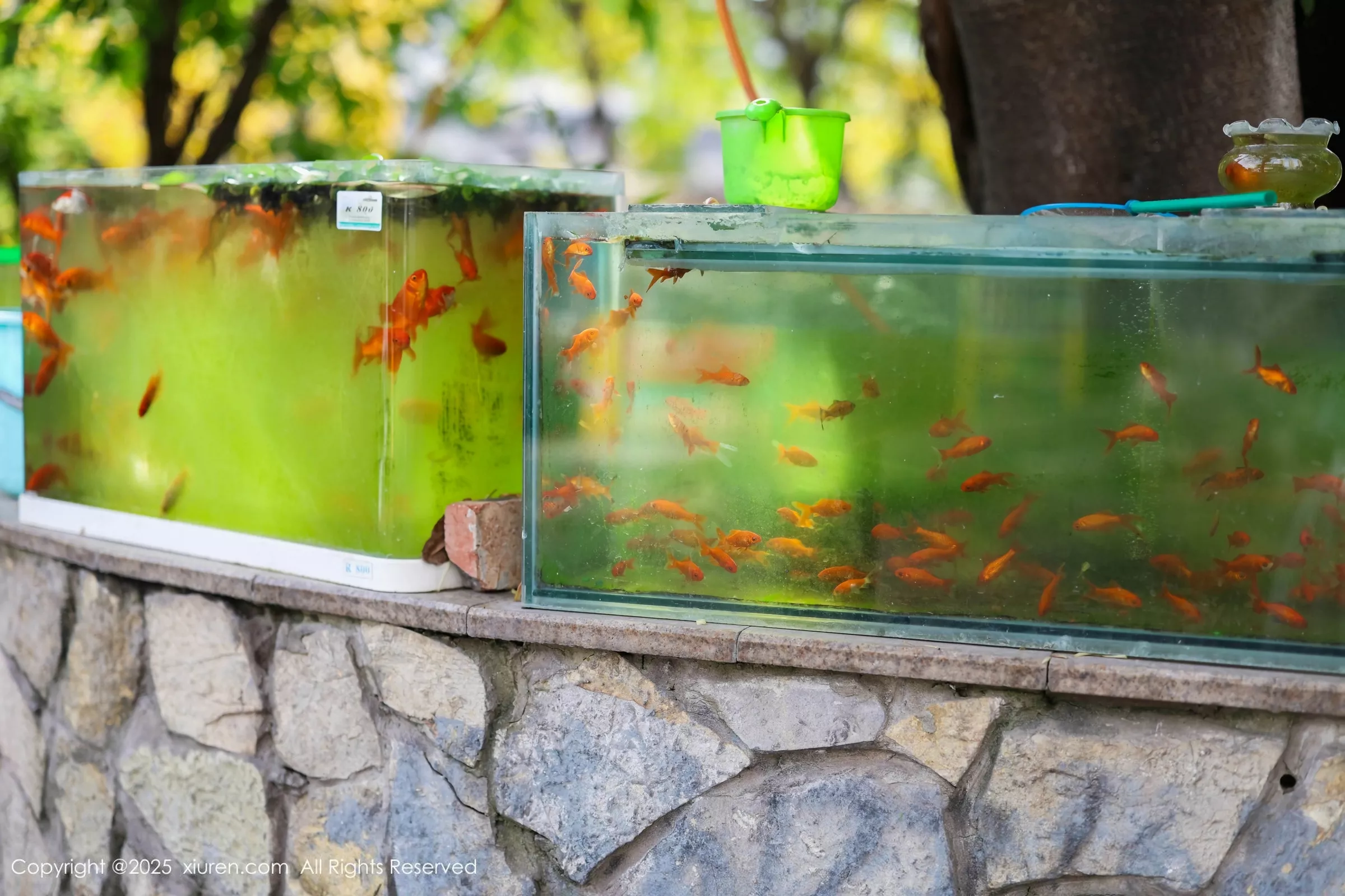 [XiuRen秀人网]第10247期茂木希子写真-秀人集