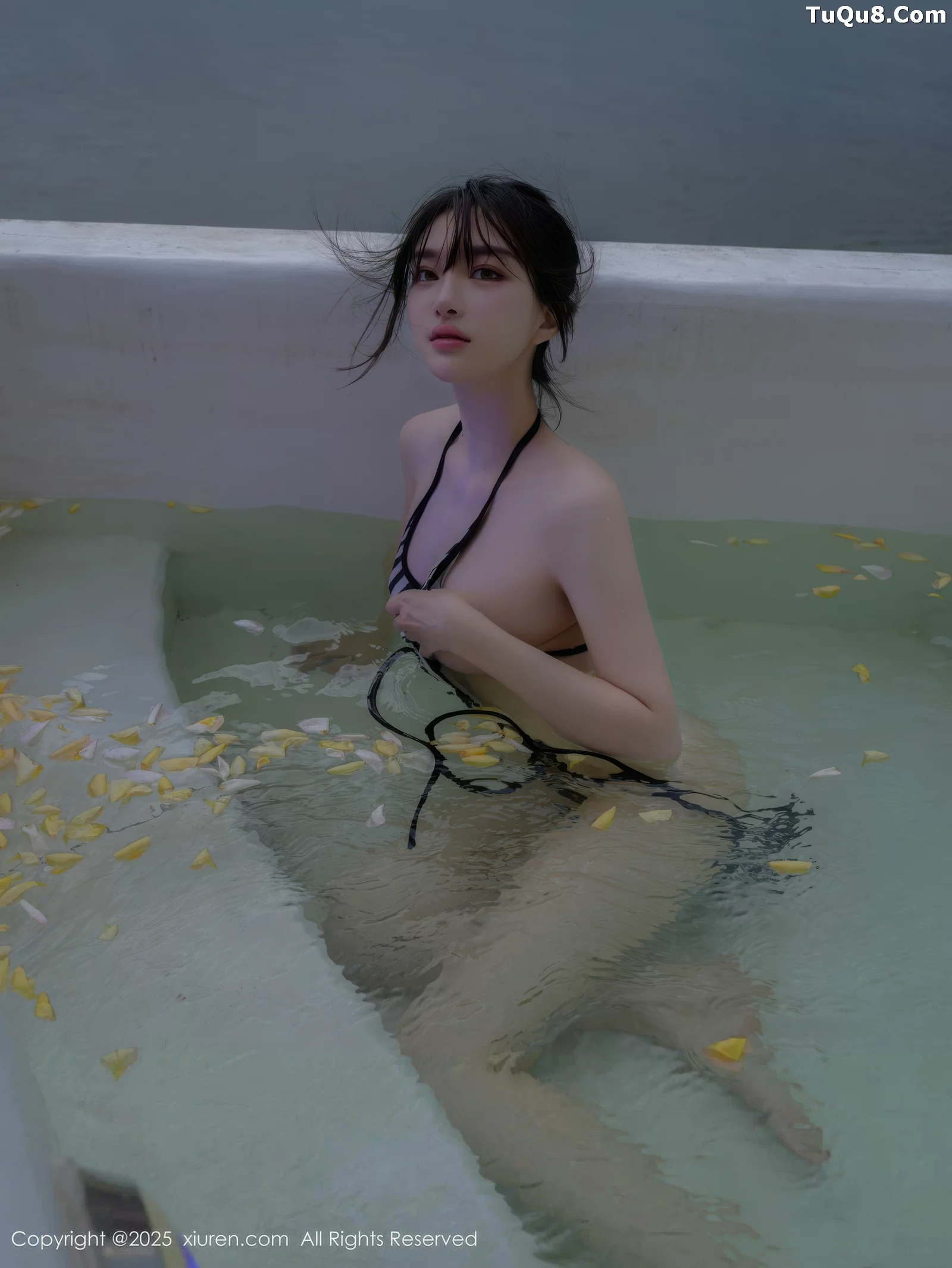 白露合集 白露写真